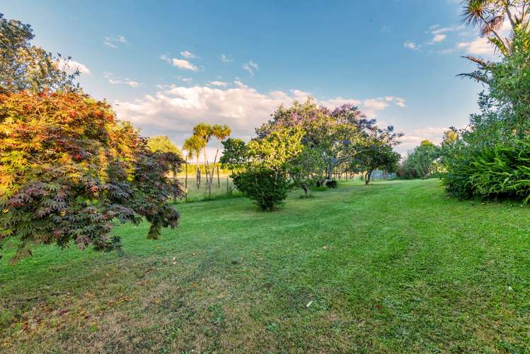 115 Shelly Beach Road Shelly Beach_26