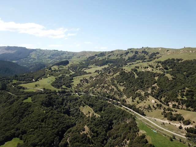 1050 Ellis Wallace Road Eskdale_4