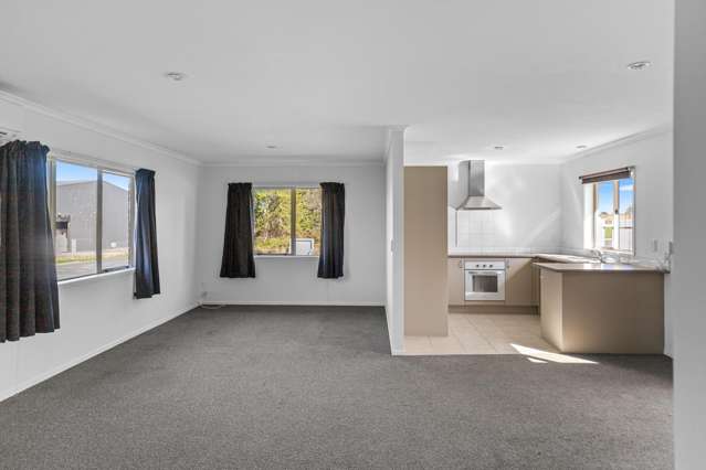 47 Rimu Street Maeroa_2