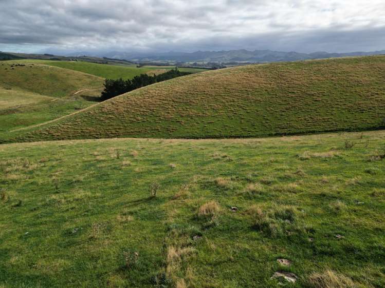 3/220 Taieri Peak Road Palmerston_11