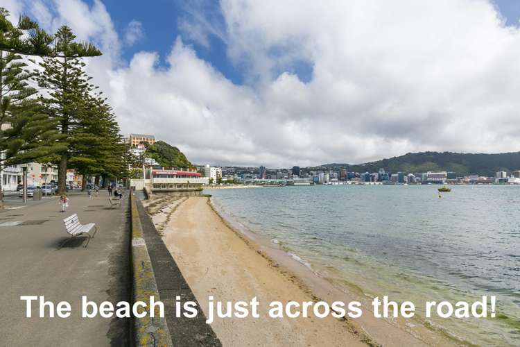 5/268 Oriental Parade Oriental Bay_14