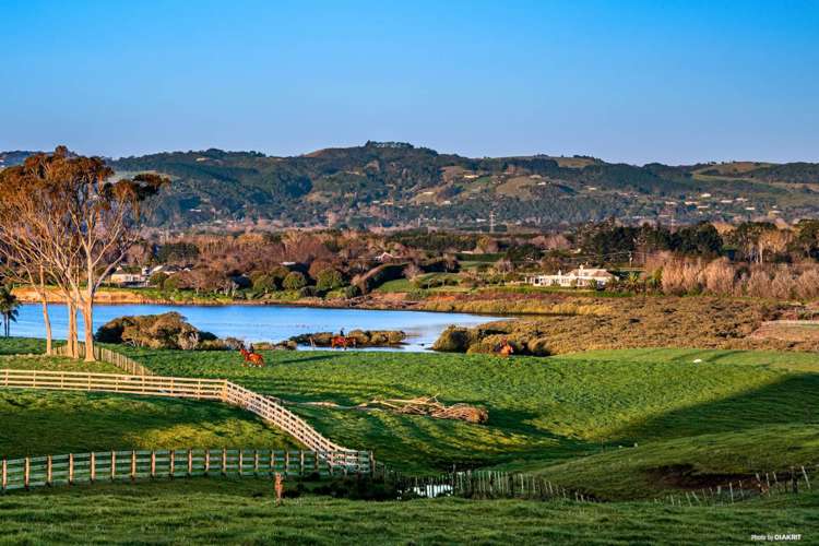 111 Walters Road Karaka_21