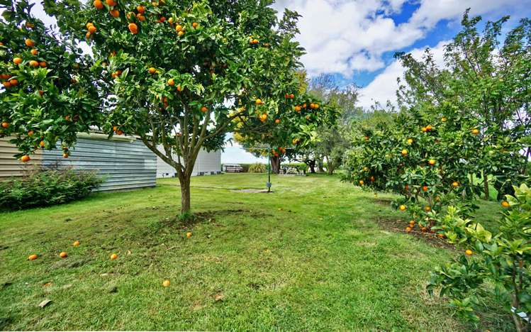 127 Otakiri Soldiers Road Otakiri_8