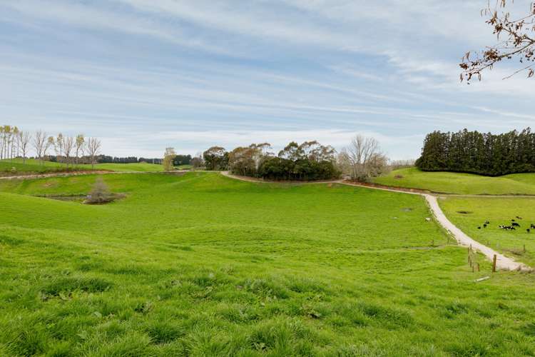 936 Pongakawa Bush Road Pongakawa_17