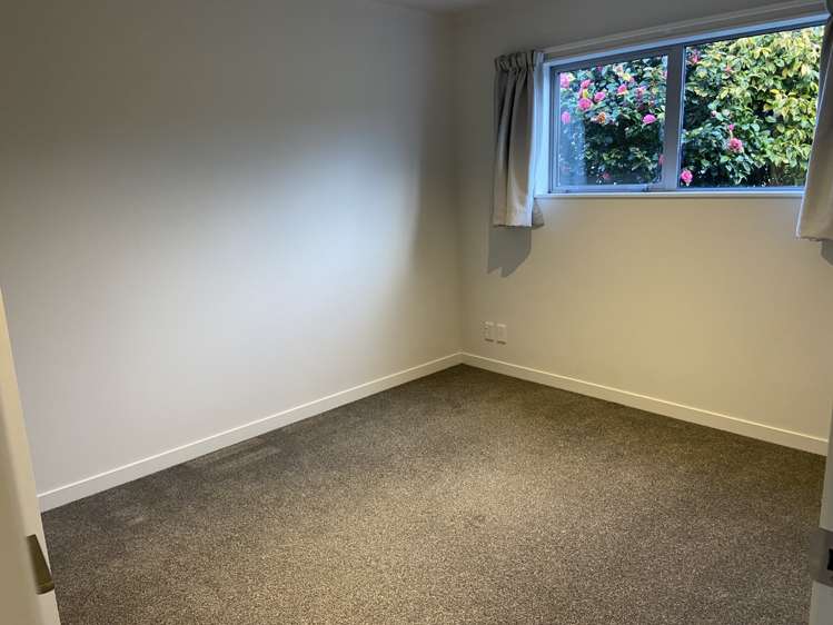 4/8 Middleton Road Johnsonville_12