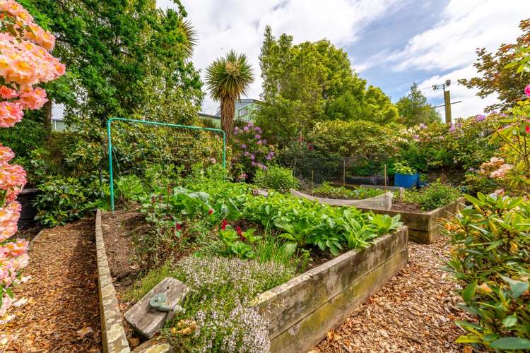 64B Gleniti Road Gleniti_12