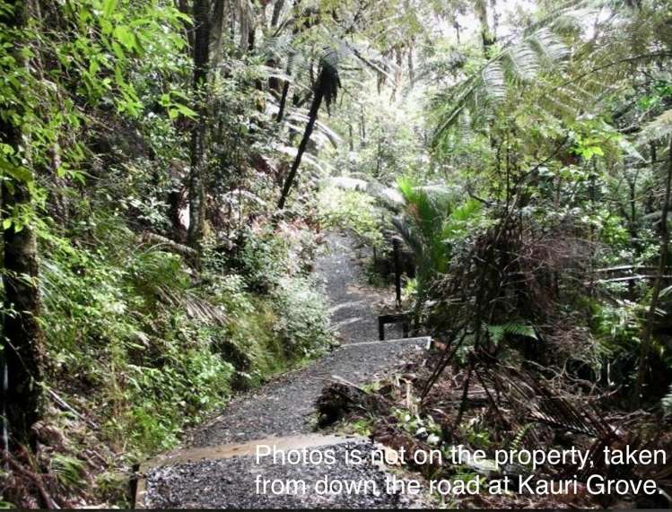 694 The 309 Road, Waiau Coromandel_21