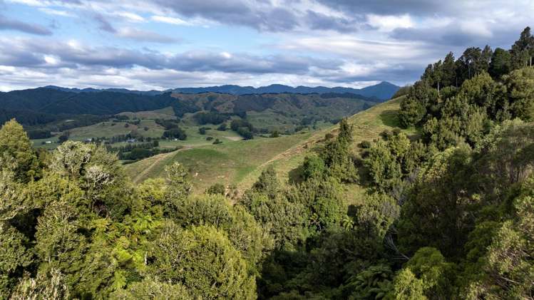 2140 State Highway 2, Nukuhou North Whakatane_10