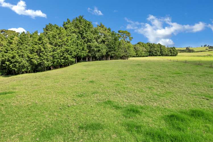 72 Mccullough Road Mangapai and Surrounds_3