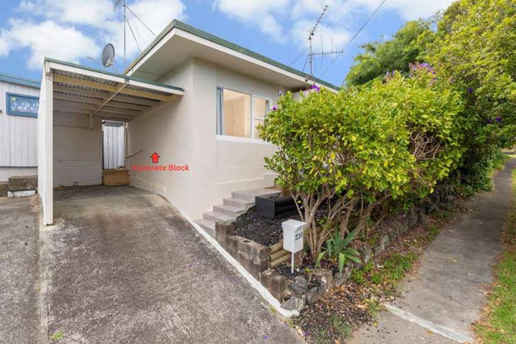 23b Euston Road Sandringham_11