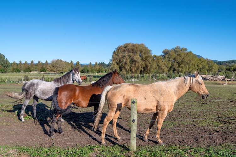 31 Mcivor Road Rotoma_13