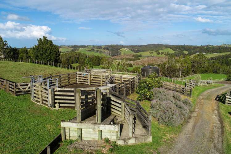 140 Te Arai Point Road Te Arai_9