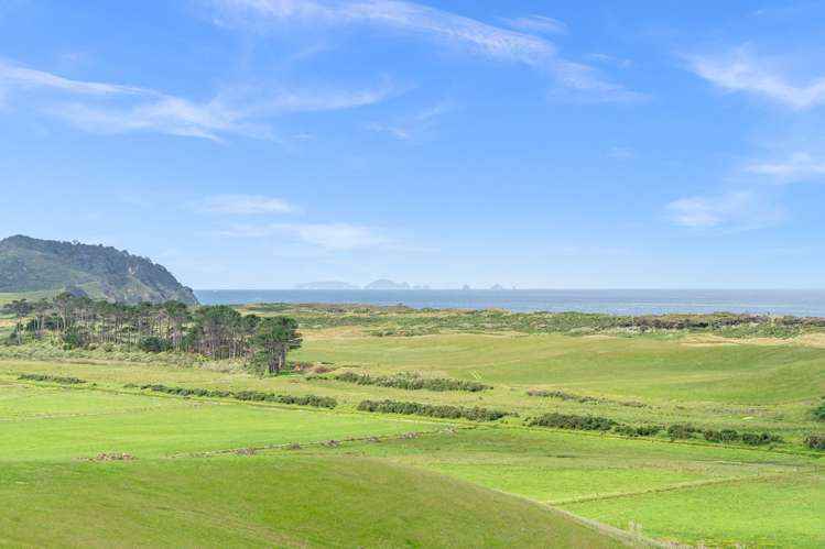 Lot 1, Blue Horizon Road Whangarei Heads_1