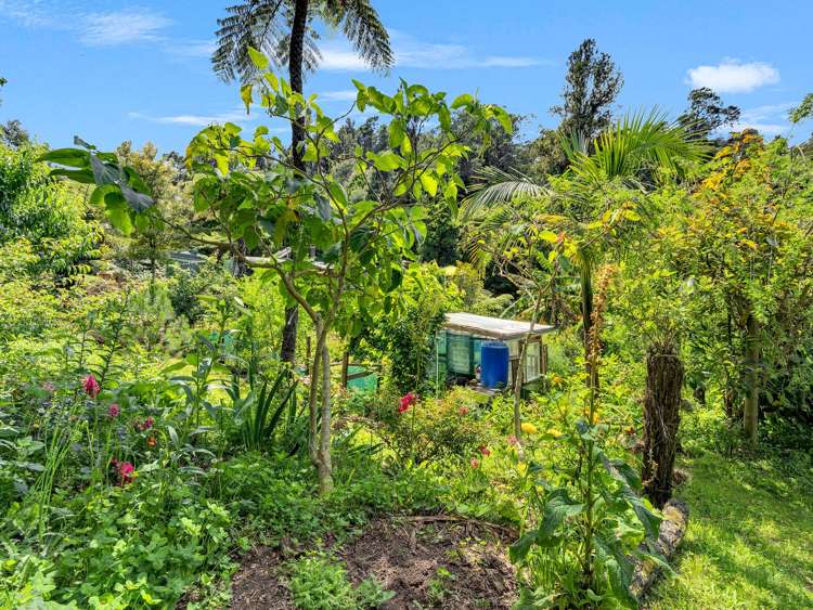 Ohiwa Loop Road Waiotahi_31