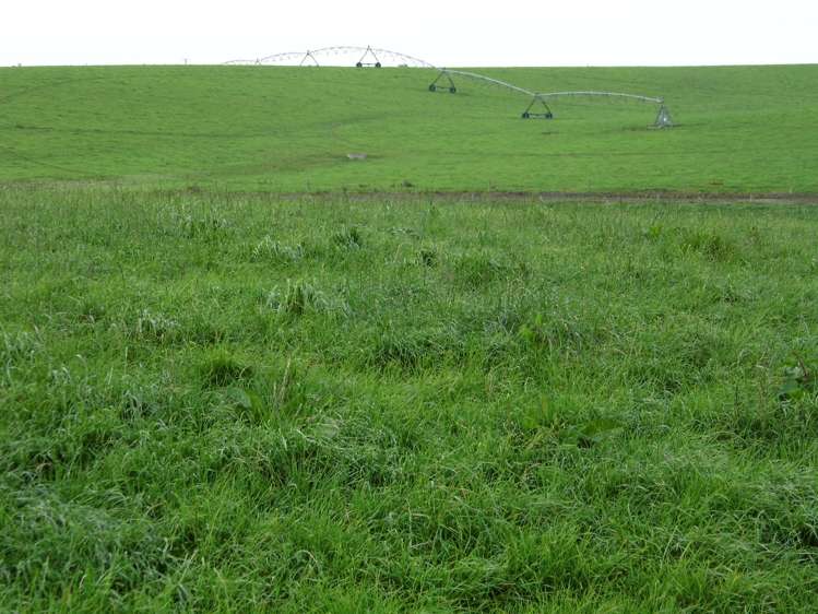 191 Cowans Road Enfield and Surrounds_2