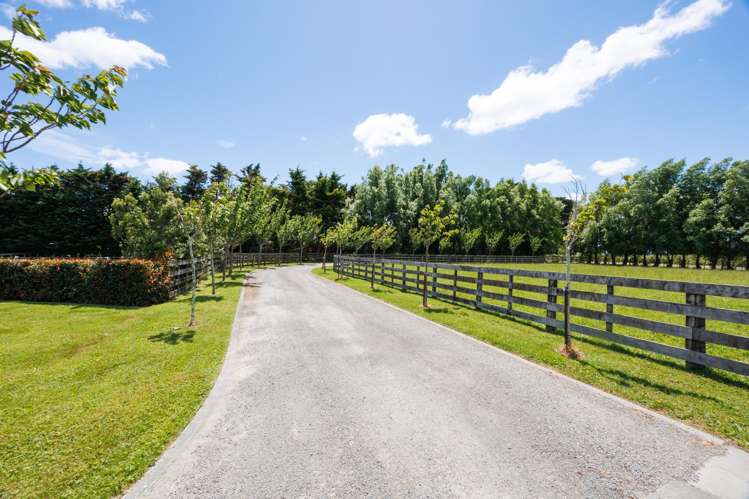 61 Mount Stewart Halcombe Road Sanson_26