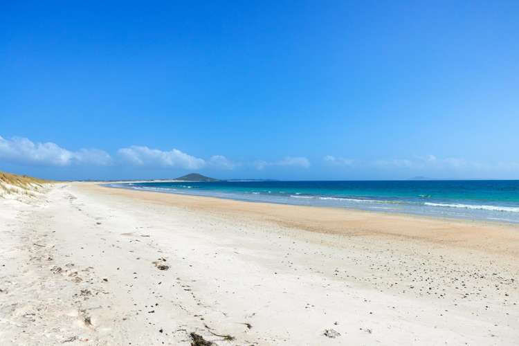 Lot 1/449 Matai Bay Road Karikari Peninsula_8