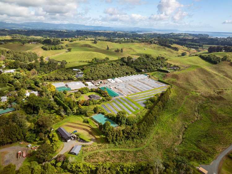 389 Old Highway Whakamarama_4