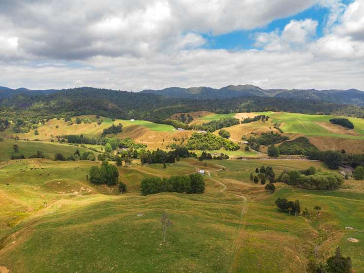 249 Franklin Road Waihi_16