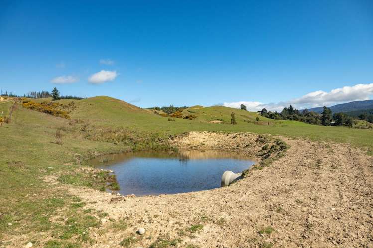 1584 Tadmor-Glenhope Road Tapawera_18