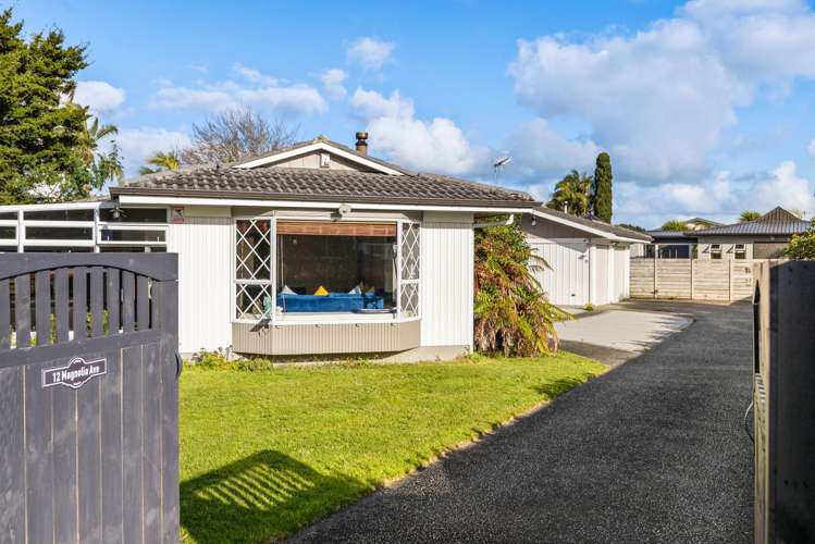12 Magnolia Avenue Opaheke_27