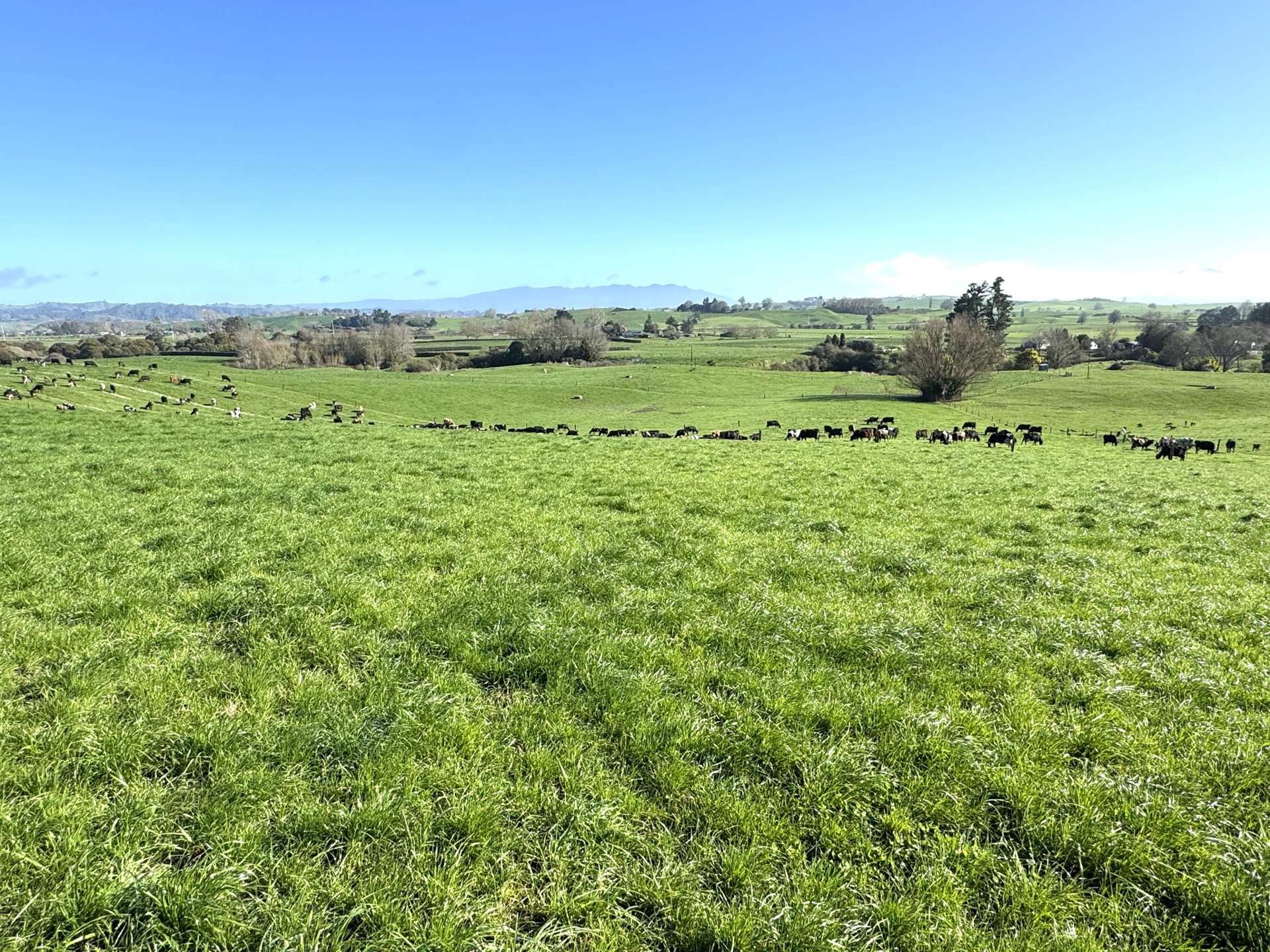 233B Kio Kio Station Road Otorohanga_0