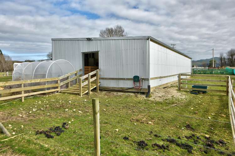 11 Horrell Road, Mandeville Gore_21