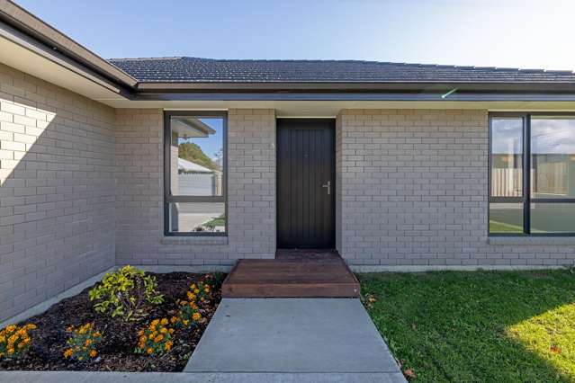 13 Market Street Masterton_1