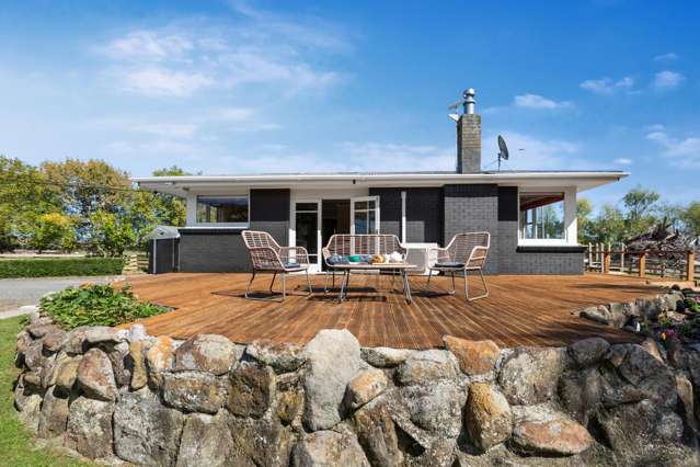 845 Tainui Road Morrinsville_2