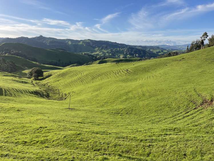 104 Tapuae Road Honikiwi_27