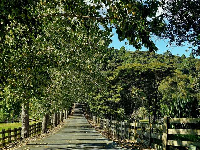112B Mahoenui Valley Road Coatesville_1