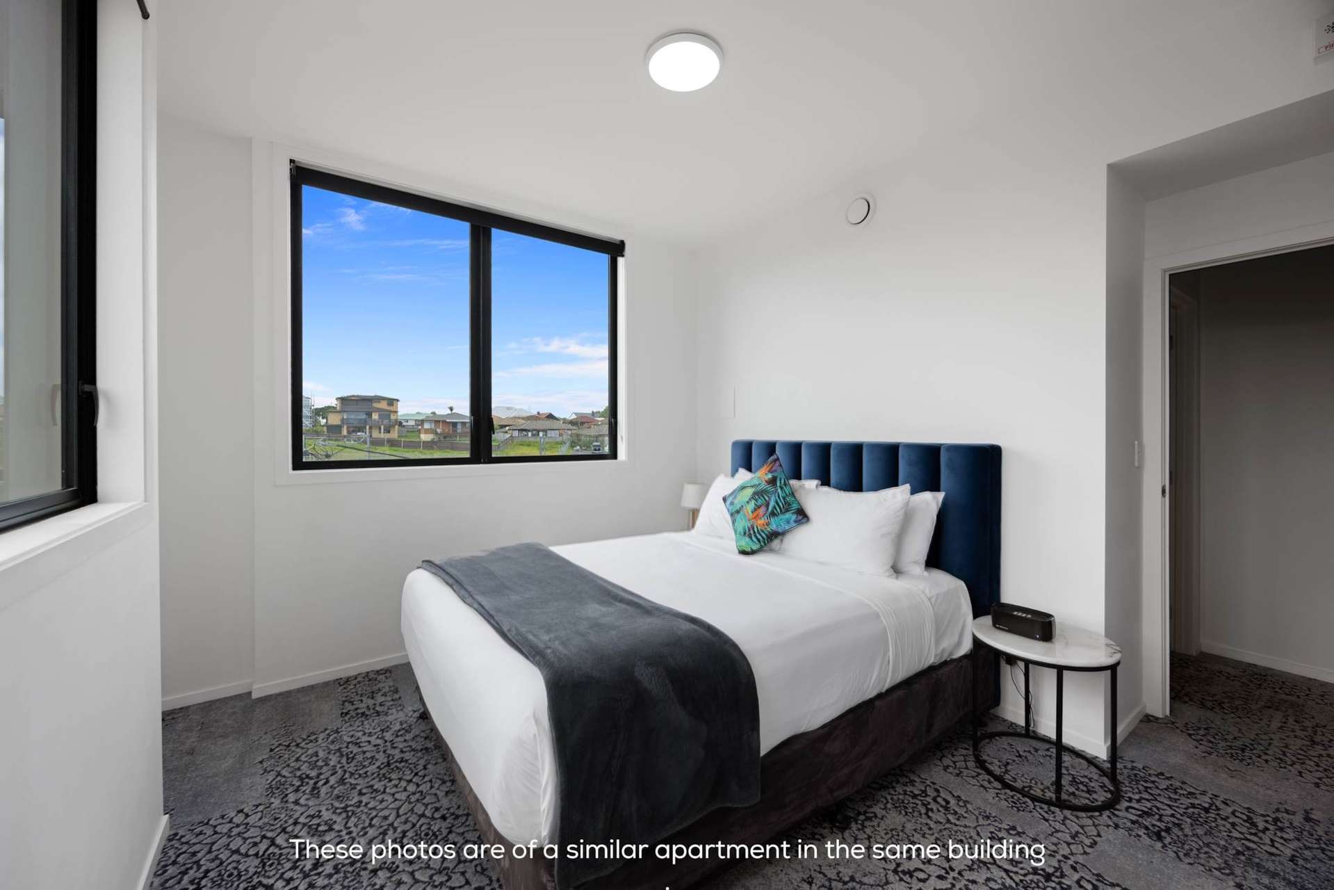 8/7 Layard Street Avondale_0
