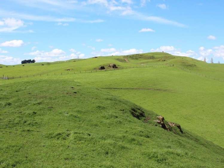 434 Hatuma Road Waipukurau and Surrounds_7