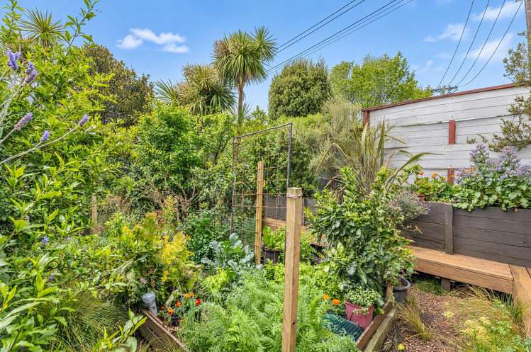 24 Temple Street Meadowbank_25