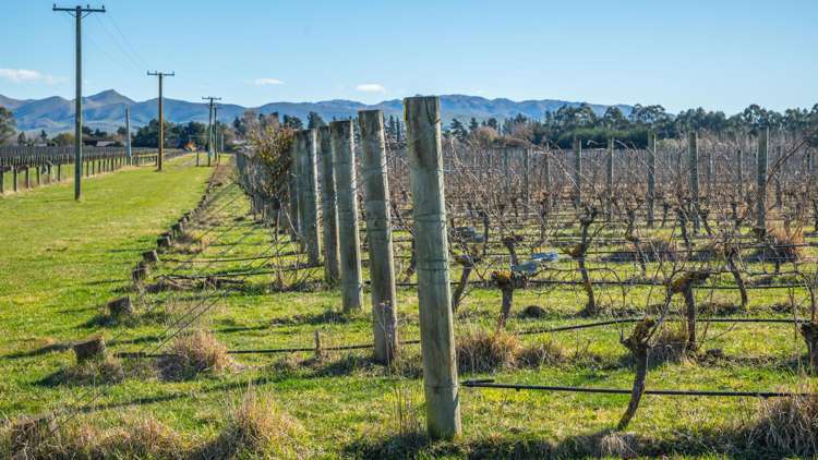 148 Omihi Road Waipara_5