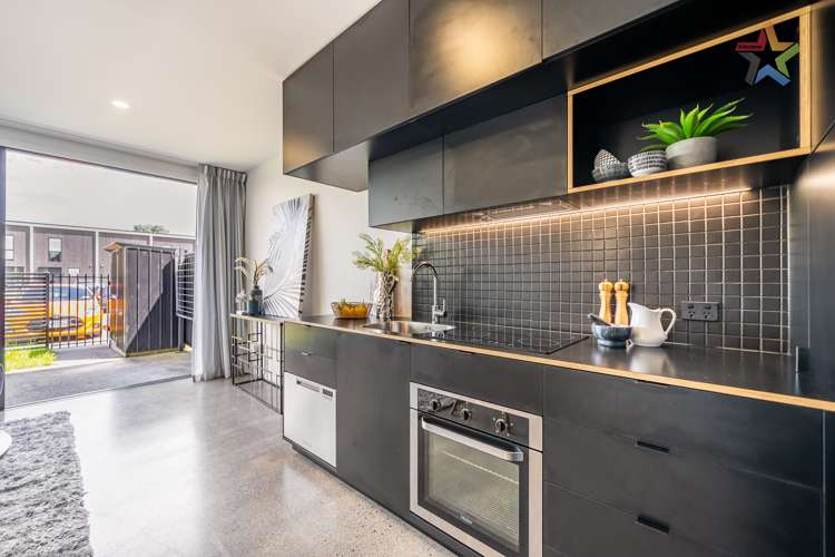 6 Te Ara O Paetutu Petone_12