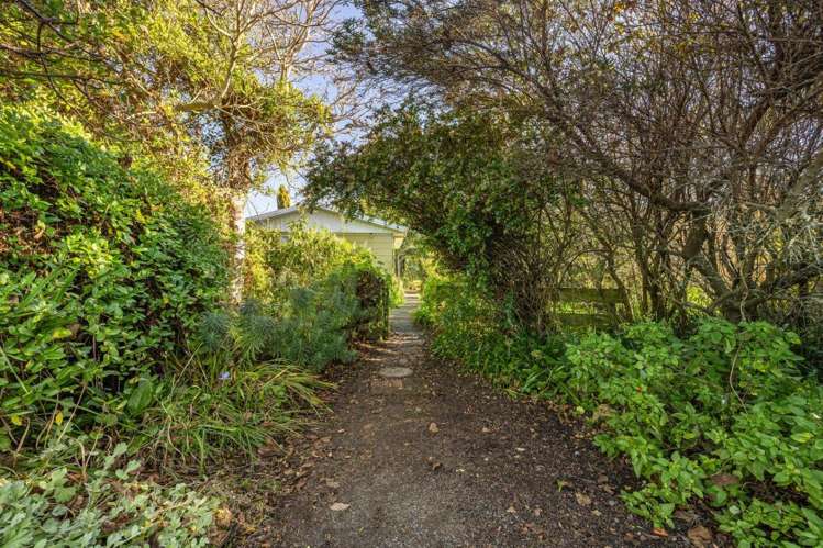 18 Bloomfield Street Leithfield_23