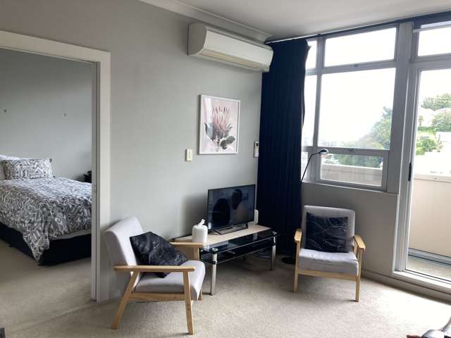 1a/3 Shakespeare Road Napier South_1