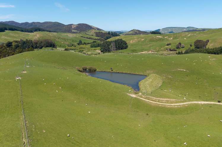 129 Speedy Road Dannevirke_6