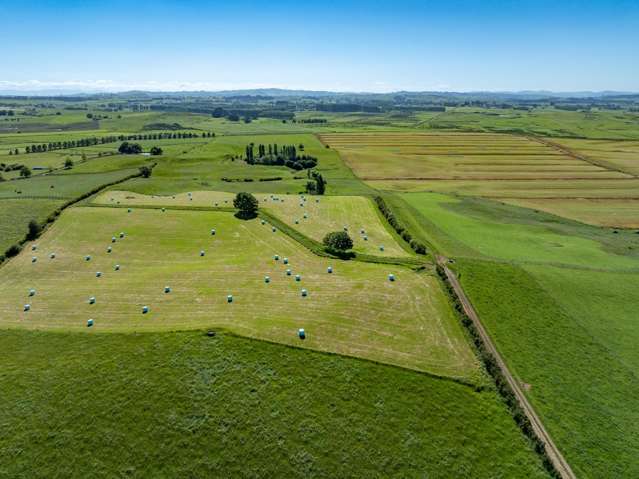 774 Koheroa Road Mercer_1