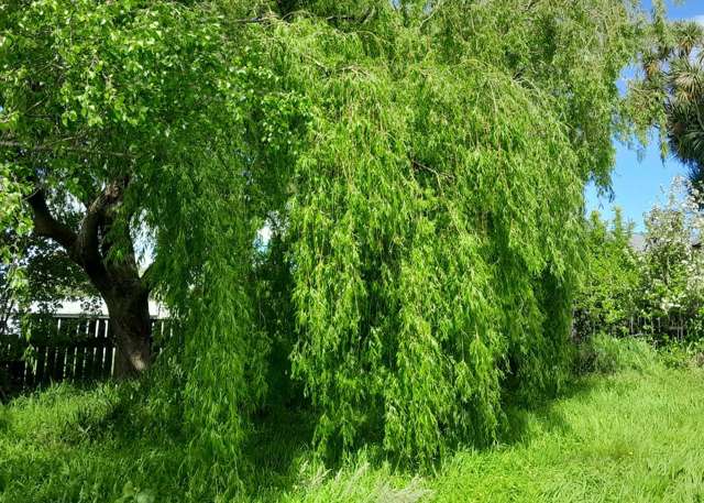 319a Makirikiri Road Marton_4