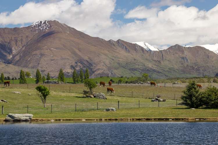 186 Stevenson Road Wanaka_13