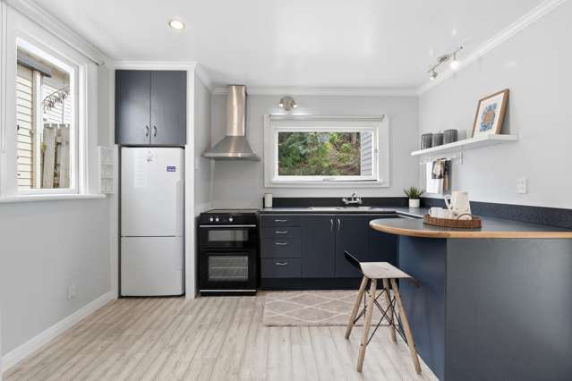 104 Neidpath Road Mornington_4