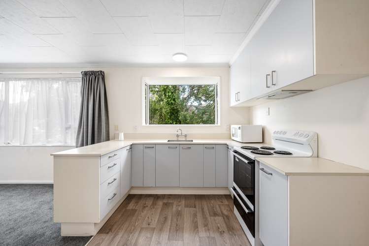 9a Lawrence Street Havelock_6