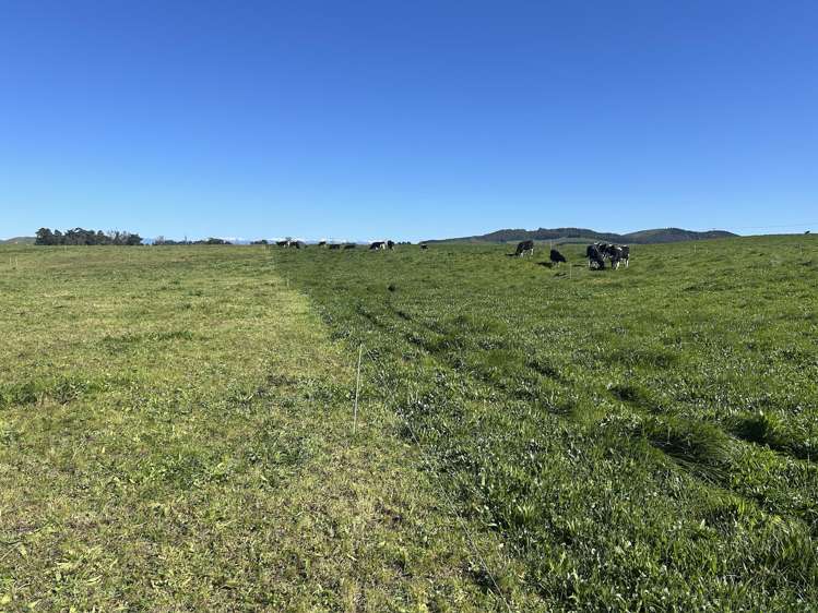 566 Pourerere Road Waipawa_33