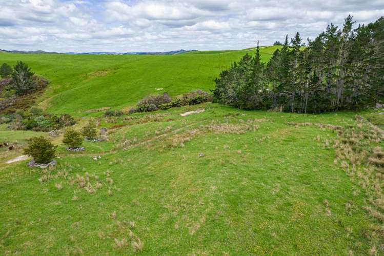 183A Wiroa Road Kerikeri_12