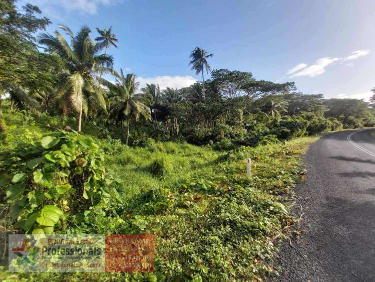 Address withheld Savusavu_28