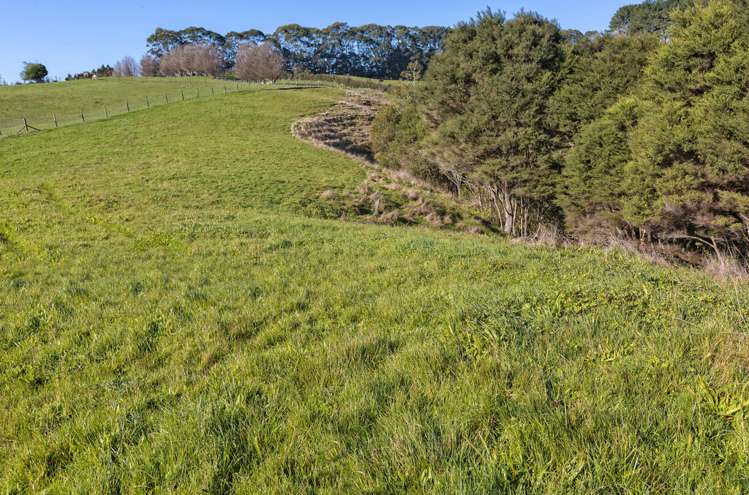 1338 Highway 22 Pukekawa_2