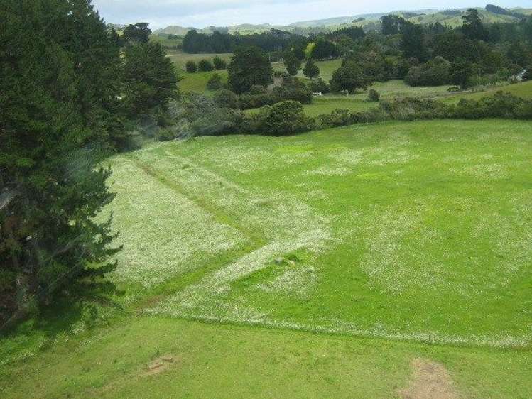 259 Diggers Valley Road Herekino_7