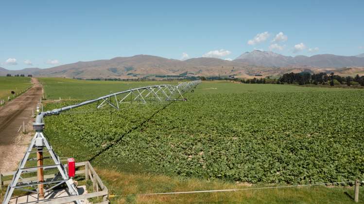 26 Eastern Road Duntroon_8